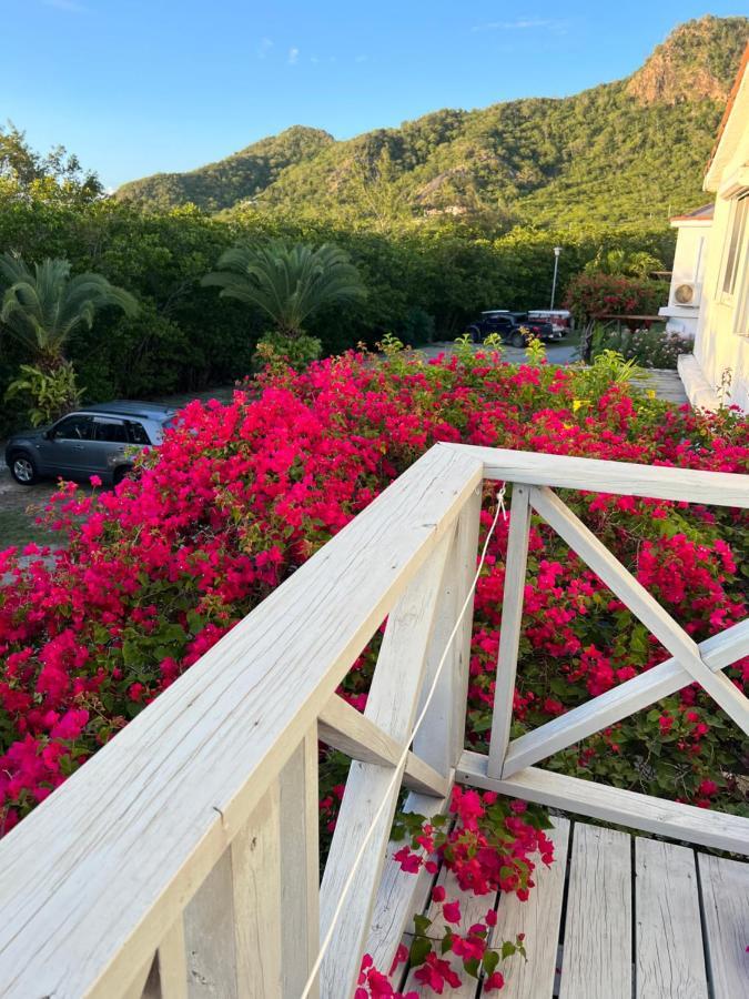 Sunny Villa In The Marina - Excellent Water Views Jolly Harbour Exteriér fotografie